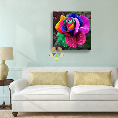 Flor Rosa Multicolor Arcoiris con Gotitas de Rocio