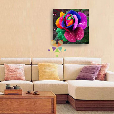 Flor Rosa Multicolor Arcoiris con Gotitas de Rocio