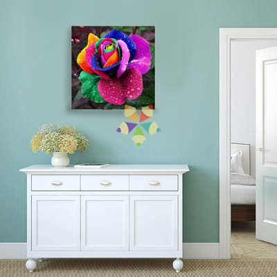 Flor Rosa Multicolor Arcoiris con Gotitas de Rocio