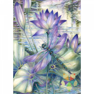 Libélula Morada Nenúfar Lirio Acuático Transdormación Insecto Tornasol