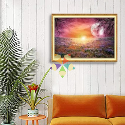 Luna Llena Campo Lavanda Floreado Flores Atardecer