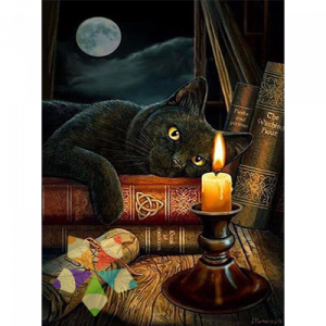 Gato Negro Felino Místico Fantasía Luz Luna Llena Vela Candela Libros