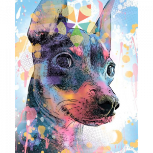 Perro Pinscher Pincher Doberman Colorido Juguetón Amoroso