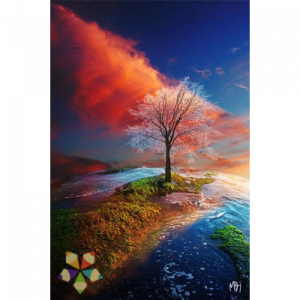 Árbol Cielo y Tierra Paisaje Inspirador Vida Creación