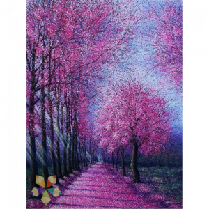 Sendero Camino Jacaranda Arbol Flor Floresado Serenidad Paisaje Veraniego