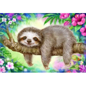 Oso Perezoso Barypus variegatus Bosque Tropical tres dedos Sloth simbolo costa rica