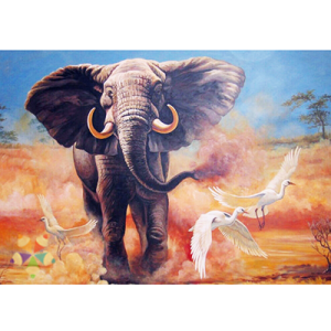 Elefante Africano COlmillos Orejas Majestuoso Paquidermo Garza Ave Elegante