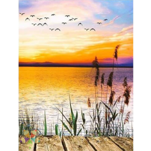 Muelle Atardecer Celajes Aves Lago Mar Atardecer Pampas