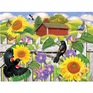 Cerca con Girasoles y Pajaritos Flor Pétalos Dorados Cardenales Plumas Campo Finca