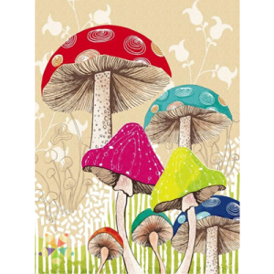 Fungi Hongps Setas Magia Colores Niños de Bosque María Sabina Amanita Muscaria Psilocibina