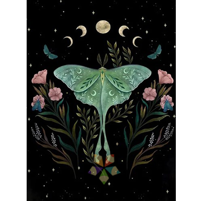 Mariposa Nocturna Guía espiritual polinizadora