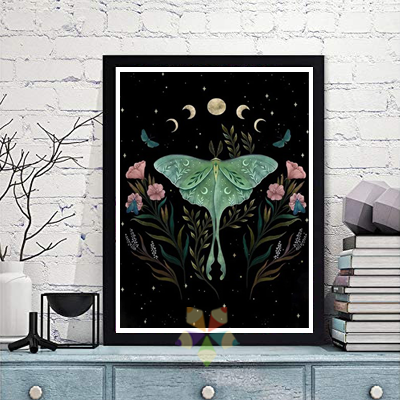 Mariposa Nocturna Guía espiritual polinizadora