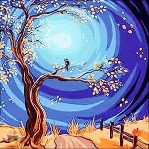 Cerca de madera sombra Reflejo Camino Trillo Montaña Campo