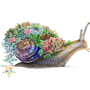 Caracol Escargot Molusco gastrópodo espiral babosa Suculentas cactus Casa