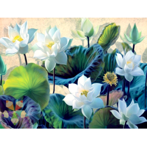 Loto Nenúfar Flor Blanca Deidad Oriental