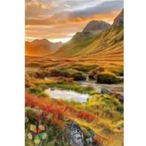 Atardecer Alpino con Flores Silvestres Lagos Páramo Celajes calidez