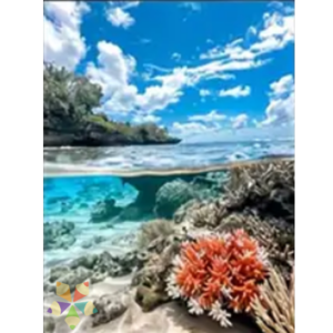 Paisaje Marino con Corales Agua de Mar Salada Arena Vida Submarina