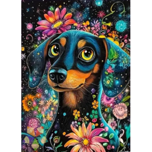 Perro Salchicha Daschund amoroso tierno patitas colita el mejor amigo