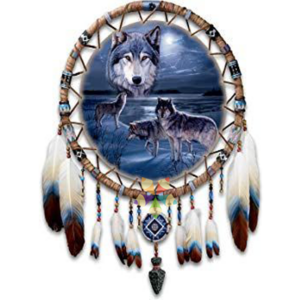 Lobo Negro Animal Espiritual Totem Cazador