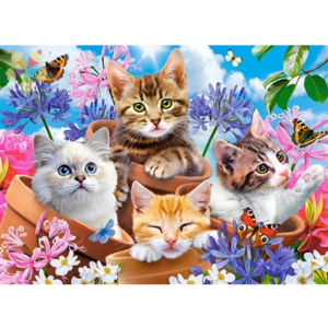 Gatitos Felino Miau Minino Mirada Flores Pétalos Bigotes Fluo Colorido Arcoiris Multicolor